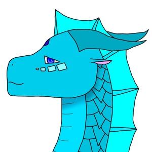 Meet your Posher, Ethan